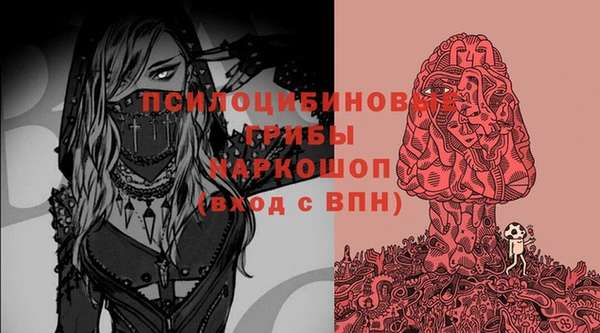 бутират Краснослободск